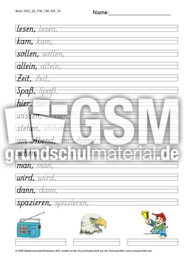 DSS_2S_FW_100_NR_74.pdf